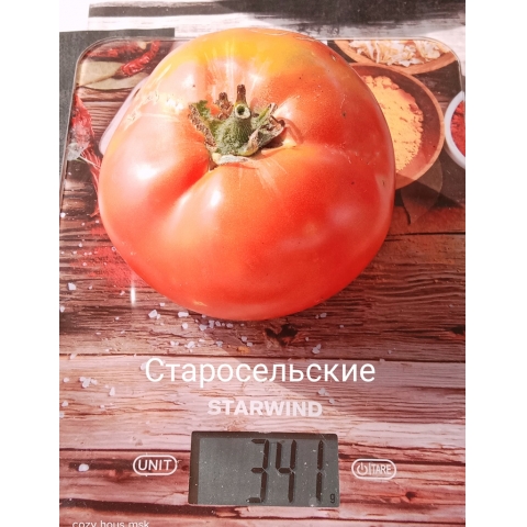 Томаты медвежья кровь описание сорта. Томат старосельские семена. Томат старосельский семена. Старосельский томат описание. Томат валдайский ранний мязина.